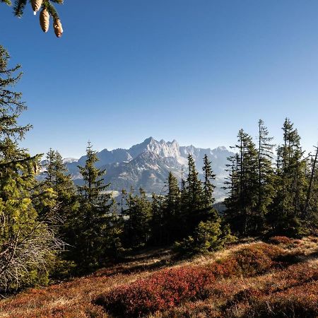 Schattbergblick Saalbach-Hinterglemm Esterno foto